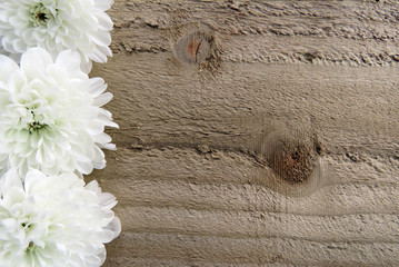 A border of white flowers on a wooden background with space for text