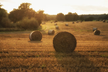 Beautiful countryside landscape image of hay bales in Summer fie