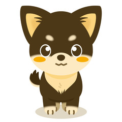 いぬっこ倶楽部 チワワ（黒）