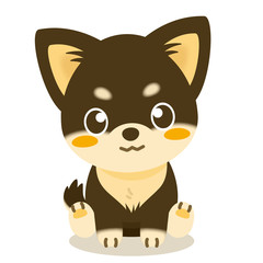 いぬっこ倶楽部 チワワ（黒）