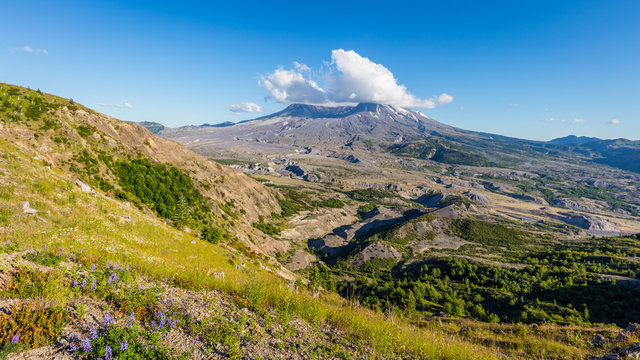 Amazing views of the volcano. White clouds are hovering over the large crater. Loowit Viewpoint, Mount St Helens National Park, West Part, South Cascades in Washington State, USA