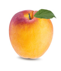 Fototapeta na wymiar Fresh apricot on white , isolated
