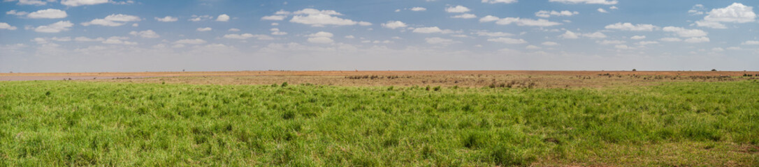 Tsavo East National Park, Kenya