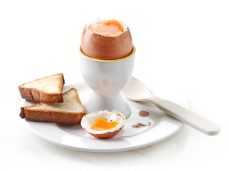 freshly boiled egg and toasted bread