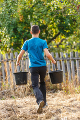 Teenage boy carrying buckets of plums © Xalanx