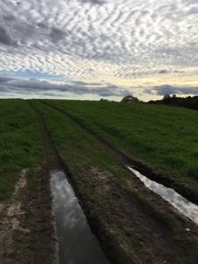 грунтовая дорога в поле на закате