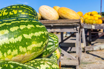 Group of watermelon and melon fruits at street market