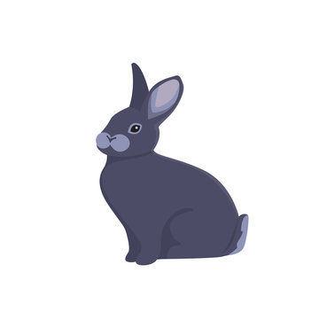 vector illustration of cartoon rabbit.