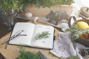 Vintage still life with kitchen herbs and cook book