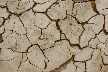 Cracked ground,Dry land.