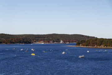 Obraz premium Acadia National Park in Bar Harbor, USA, 2015