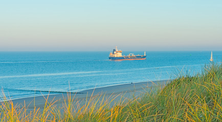 Sand dunes in the light of sunrise in summer