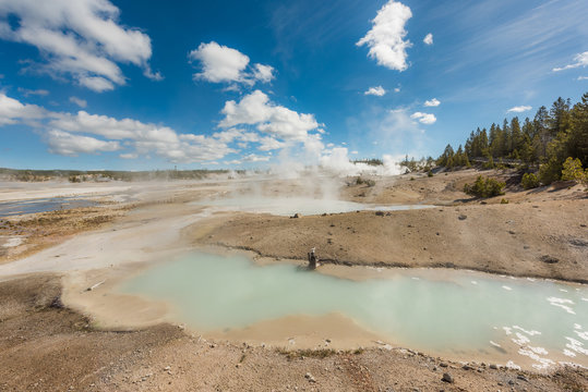 Hot spring pools with blue colors and steam geysers in Yellowstone National Park in Norris Basin