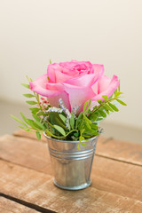Rose in small bucket