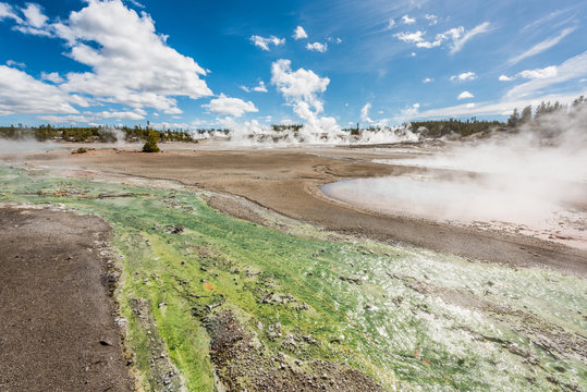 Green runoff of bacteria algae in Norris Geyser basin with hot springs pools steaming in Yellowstone National Park