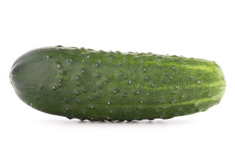 Cucumber vegetable  isolated on white background cutout
