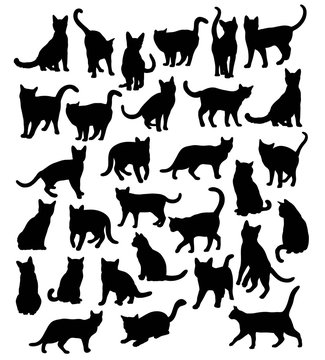 Cat Animal Silhouettes, art vector design 