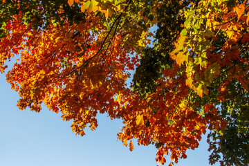 Acadia National Park in Bar Harbor, USA, 2015