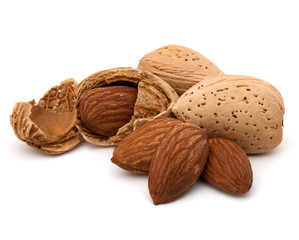 Almond nut in shell and shelled isolated on white background clo