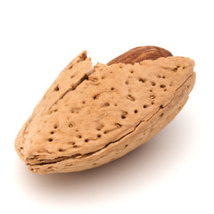 Almond nut in shell and shelled isolated on white background clo