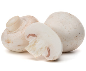 Champignon isolated on white background cutout