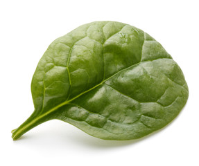 Obraz premium Baby spinach leaves isolated on white background cutout
