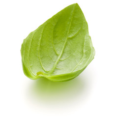 Sweet basil herb leaves isolated on white background closeup