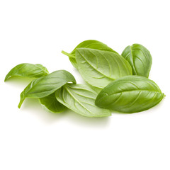 Sweet basil herb leaves handful isolated on white background clo