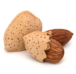 Almond nut in shell and shelled isolated on white background clo