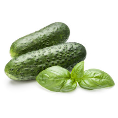 Cucumber vegetable and basil leaves isolated on white background