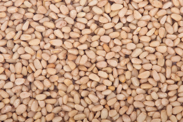 Raw organic pine nuts without shell food background