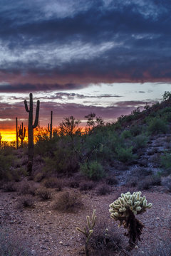 Phoenix Arizona Night Scene after Sunset
