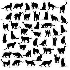 Cat and Activity Pet Animal Silhouettes, art vector design