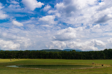 Fototapeta na wymiar Scenic Landscape of Elkton, Virginia around Shenandoah National
