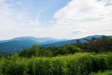 Scenic Summer Landscape on Overlook Drive Shenandoah National Pa