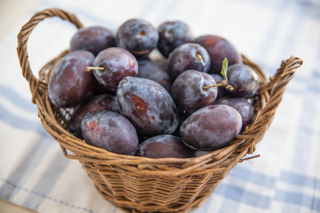 Zwetschgen, Pflaumen