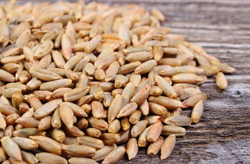 Heap of rye grain on wooden background