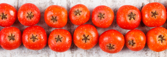 Red rowan on old wooden background