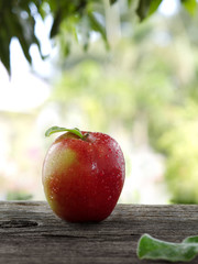 close up view of nice fresh apples on color background