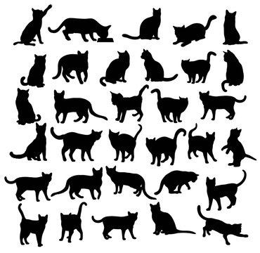 Modern Cat Silhouettes, art vector design