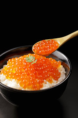 いくらの醤油漬け　Salmon roe
