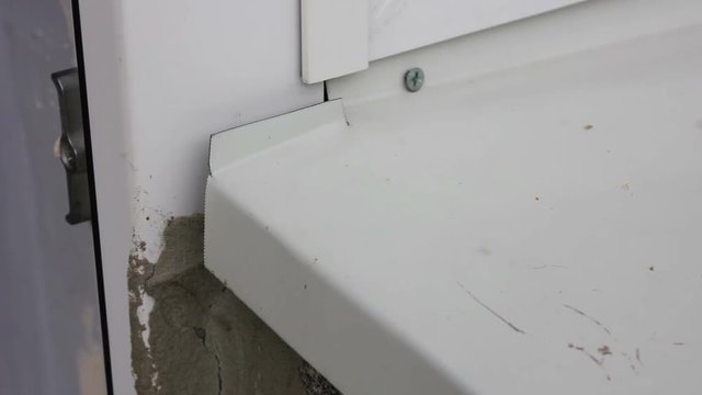 Wasp building nest.