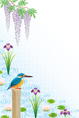 カワセミと水辺の花々