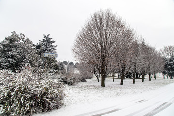 italian fields covered by snow