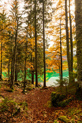 Autumn morning in the alps