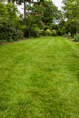 Fototapeta na wymiar Green lawn in a garden