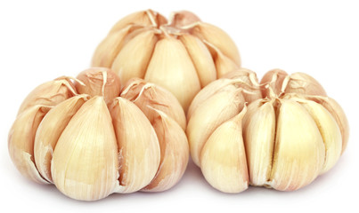 Fresh garlic over white background