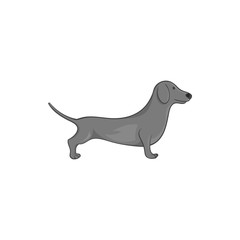 Dachshund dog icon in black monochrome style isolated on white background. Animals symbol vector illustration