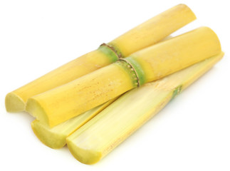 Pieces of sugarcane