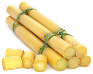 Pieces of sugarcane